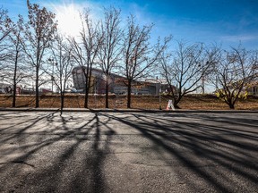 Afternoon sun casts shadows north of the Scotiabank Saddledome on Oct. 19, 2022.