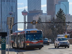 Calgary Transit buses proceed on Centre Street on Jan. 31, 2020. City council is considering a plan to replace some of the diesel-powered buses with electric buses.