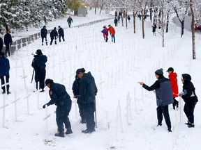 Teams of Volunteers (groups and individuals) gathered for the 14th year, to set up the display of 3,620 white crosses for the Field of Crosses Memorial Display along Memorial Drive in Calgary on Saturday, October 22, 2022.