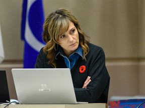 Shovel. Sonya Sharp in the council chamber at City Hall on Tuesday, November 8, 2022.