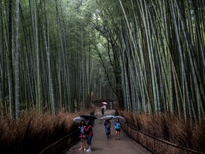 Tourists walk through the famous Sagano Bamboo Forest on Sept. 6, 2015, in Kyoto, Japan. Kyoto is one of the world's great cities.