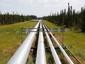 FILE PHOTO: Oil, steam and natural gas pipelines run through woods at the Cenovus Foster Creek SAGD oil sands operation near Cold Lake, Alberta, July 9, 2012.