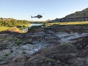 An articulated hadrosaur skeleton is airlifted by a helicopter near Morrin, Alberta.