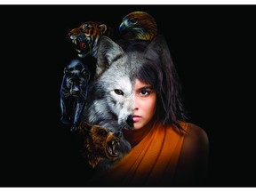 Quinn (de la Yamnska Wolfdog Reservation) et Mara Teare (qui joue Mowgli) dans Jungle Book d'Alberta Theatre Projects.  Photographie d'Erin Wallace.  Illustrations d'Adobe Stock.