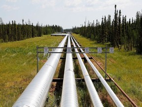 Oil, steam and natural gas pipelines run through the forest at the Cenovus Foster Creek oil sands operations.