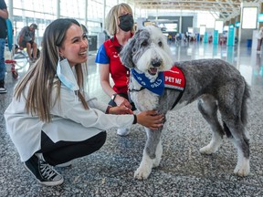 Sheila Duguid and sheepadoodle Fergus with the Calgary International Airport's Pre-board Pals program welcome travellers at the airport on Tuesday, June 28, 2022. Pre-board Pals is a collaboration between the Calgary Airport Authority and the Pet Access League Society.