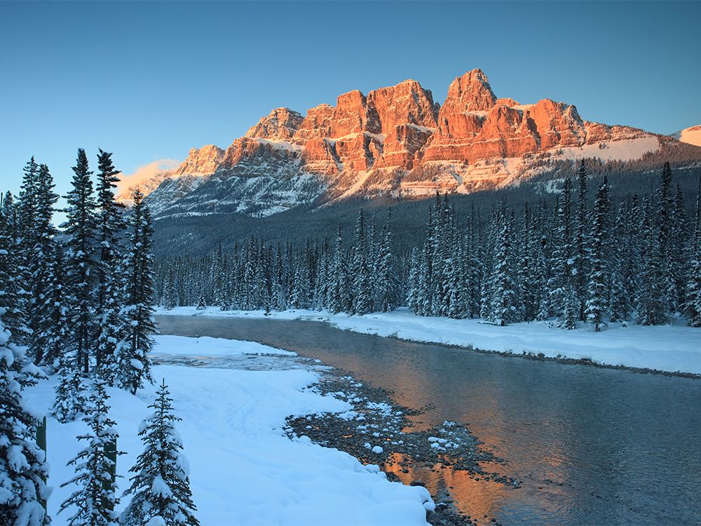 Parks Canada starts fire guard project between Banff and Lake Louise ...