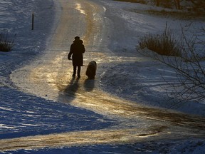 A lone pedestrian walks a dog through Confederation Park near 30th Avenue N.W. late Thursday afternoon.