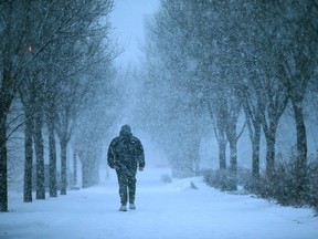 FILE PHOTO: A pedestrian walks on a tree-lined street in Bridgeland in northeast Calgary on Friday, January 27, 2023.