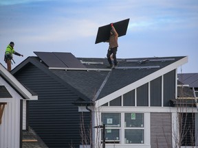 Workers install solar panels on a new home in the community of Ambleton in northwest Calgary on Thursday, January 19, 2023.