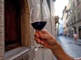 Italy will appeal to the European Commission against allowing health warning labels on alcohol.