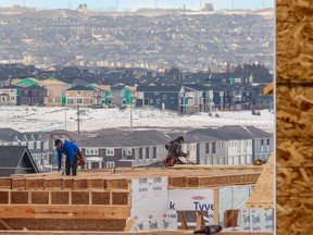 Construction continues on new homes in the Livingston development on the northern edge of Calgary on Thursday, January 12, 2023.