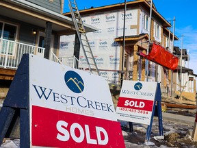 Homes under construction in the Cornerbrook community of northeast Calgary on January 24.