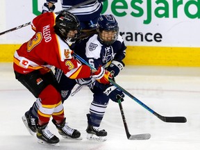 The Mount Royal University Cougars’ Mackenzie Butz and the University of Calgary Dinos’ Josie McLeod battle during the Crowchild Classic at the Scotiabank Saddledome on Jan. 27, 2023. Both teams are hosting playoff series this weekend.