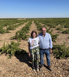 Conchi Rodríguez y su esposo, Jesús Prieto Lorenzo, de Bodega Martinsancho en un viñedo verde plantado originalmente a mediados del siglo XIX cerca de La Seca en Rueda, España.  El padre de Rodríguez ayudó a revivir las uvas verdejo en la zona.  Foto de Darren Oleksen