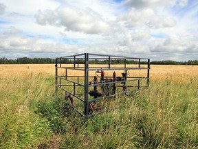 Orphan well