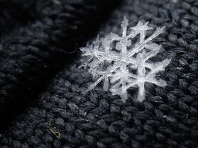 Clump of snowflakes on a glove near Millarville, Ab., on Tuesday, February 28, 2023.