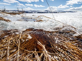 Snow melt trickles down a channel in the Willow Creek valley in the Porcupine Hills west of Nanton, Ab., on Tuesday, March 14, 2023.