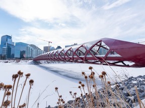 The Peace Bridge was photographed on its 11th birthday on Friday, March 24, 2023.