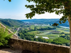 The Rhone wine region in France.
