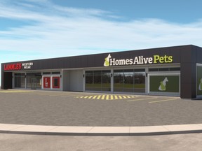A rendering shows Telsec's planned renovation of the former Jack Carter Chevrolet building at the intersection of Macleod Trail and Glenmore Trail, which will become the new home for Lammle's and Homes Alive Pets.