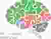 Innovative Audiology Brain 3 1000 X 780