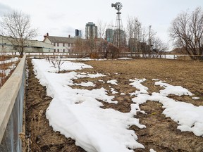 The abandoned Fort Calgary community garden area was photographed on Sunday, April 2, 2023. The garden is being resurrected to support new programming related to Indigenous food practices and permaculture concepts, while also yielding fresh food for donation to local charities.