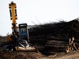 A view shows trees burned during last summer's wildfires that sorely impacted the forests of the Gironde region, cut down and piled up, in Belin-Beliet, France, March 20, 2023.