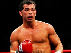 A file photo of Arturo Gatti from from his IBA Welterweight Championship fight against Thomas Damgaard at Caesars Atlantic City on January 28, 2006.
