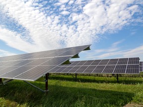 File photo of a solar farm in Alberta.