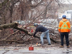 Workers clear a fallen tree from a street following an ice storm in Montreal on Thursday, April 6, 2023.