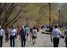 Busy pathways shared by many users in Calgary.