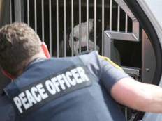 Oficiales de paz arrestan a un perro que se cree que atacó a dos personas en Lower Mount Royal, Cliff Bungalow