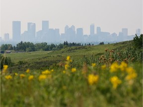 Wildfire smoke