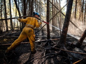 A Canadian Forces member extinguishes a hot spot while fighting wildfires in Drayton Valley, Alta.