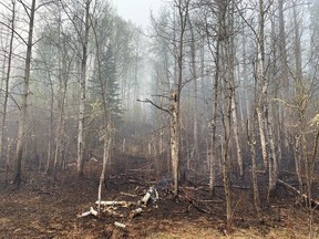 The aftermath of wildfires at Shining Bank, about 60 kilometres northeast of Edson, on May 11, 2023.