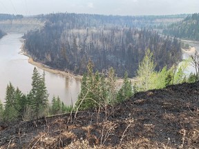 Burned trees are seen near Entwistle, about 80 km west of Edmonton, on Tuesday.
