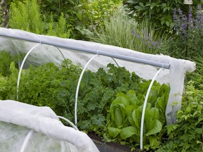 A small hoop house will keep the heat in a raised veggie bed. Courtesy, Deborah Maier