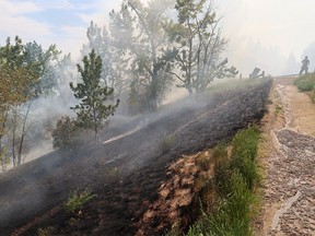 Calgary firefighters deal with a large grass fire on McHugh Bluff below Crescent Heights that burned into the backyards of homes along the ridge on Monday, June 5, 2023.