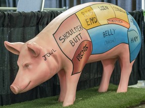 An informative pig figure in the Nutrien Western Event Centre on Stampede grounds was photographed on Thursday, July 13, 2023.