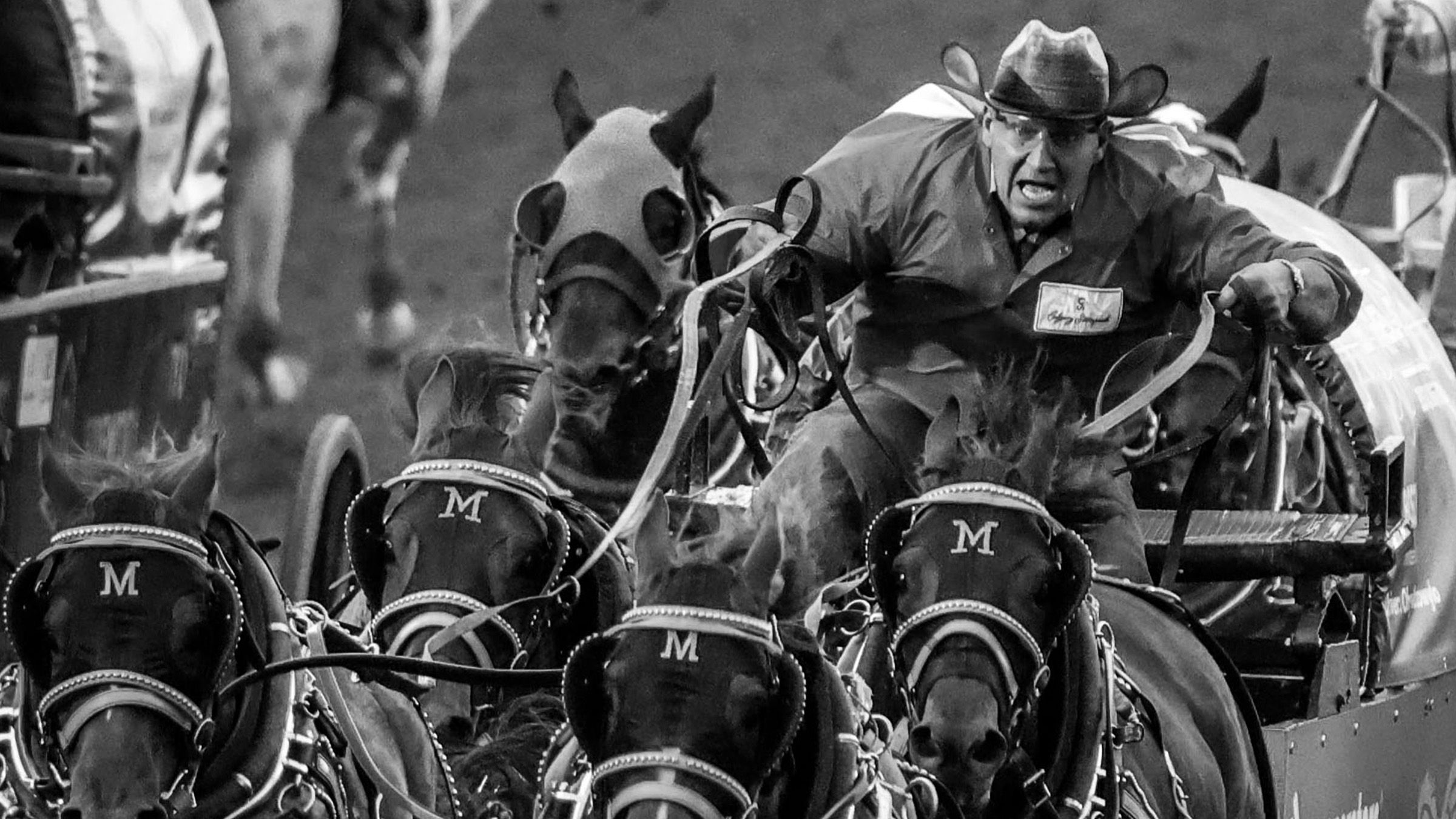 Calgary Stampede: A look at the incredible faces of chuckwagon drivers ...