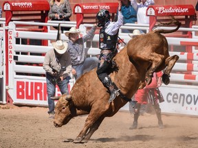 Coy Robbins Calgary Stampede rodeo