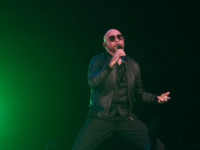 pitbull singer ass