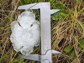 A chunk of hail measuring 55 mm can be seen near Chip Lake, Alta. after thunderstorms rocked most of central Alberta Monday night, producing golf-ball sized hail and at least one confirmed tornado.