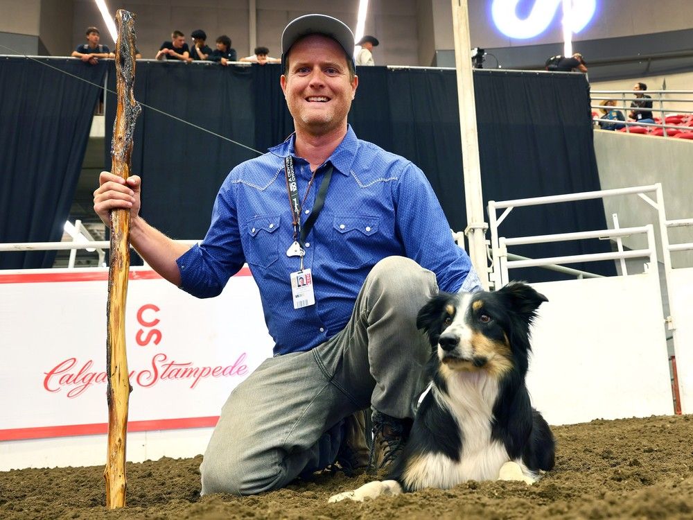 How a dog's herding instincts took one man from Toronto to the
Stampede stock dog competition