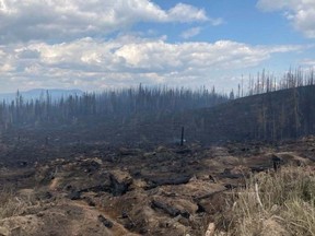 The area around the Bush Creek East blaze, northeast of Kamloops on the west side of Adams Lake, is shown in a handout photo from the B.C. Wildfire Service.