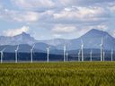 Leaders in Alberta's renewable energy industry said they were blindsided by the government's announcement last week of a six-month moratorium on new project approvals. 