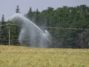 Irrigation pivots spraying water on Peace Country farms could become a more common sight if climate change results in more hot, dry summers.