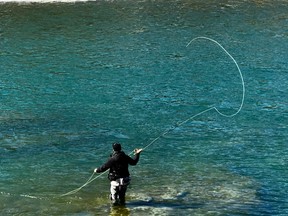 fly fishing bow river richard white