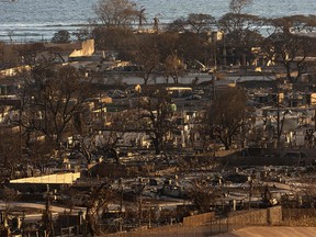 Burned houses and buildings are pictured in the aftermath of a wildfire, is seen in Lahaina, western Maui, Hawaii on August 12, 2023.